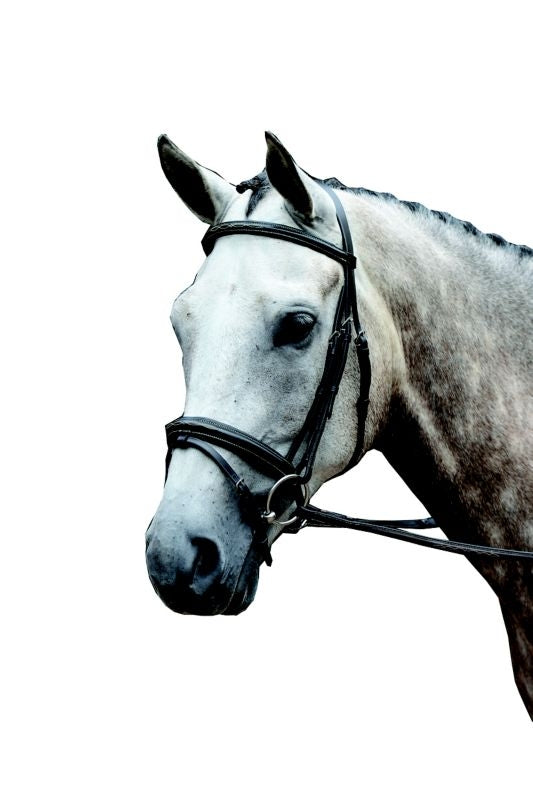 Collegiate Essential Fancy Flash Bridle