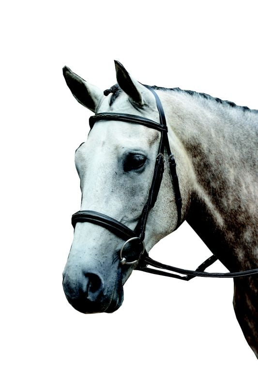 Collegiate Essential Fancy Cavesson Bridle
