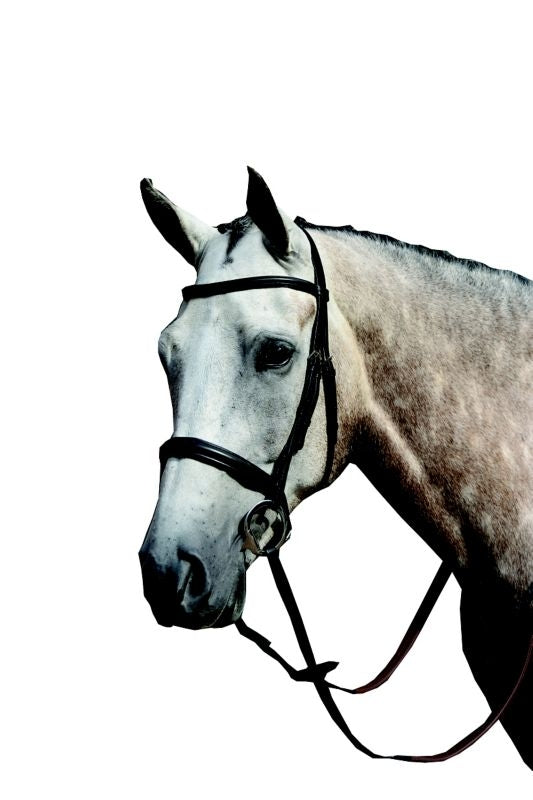 Collegiate Essential Cavesson Bridle