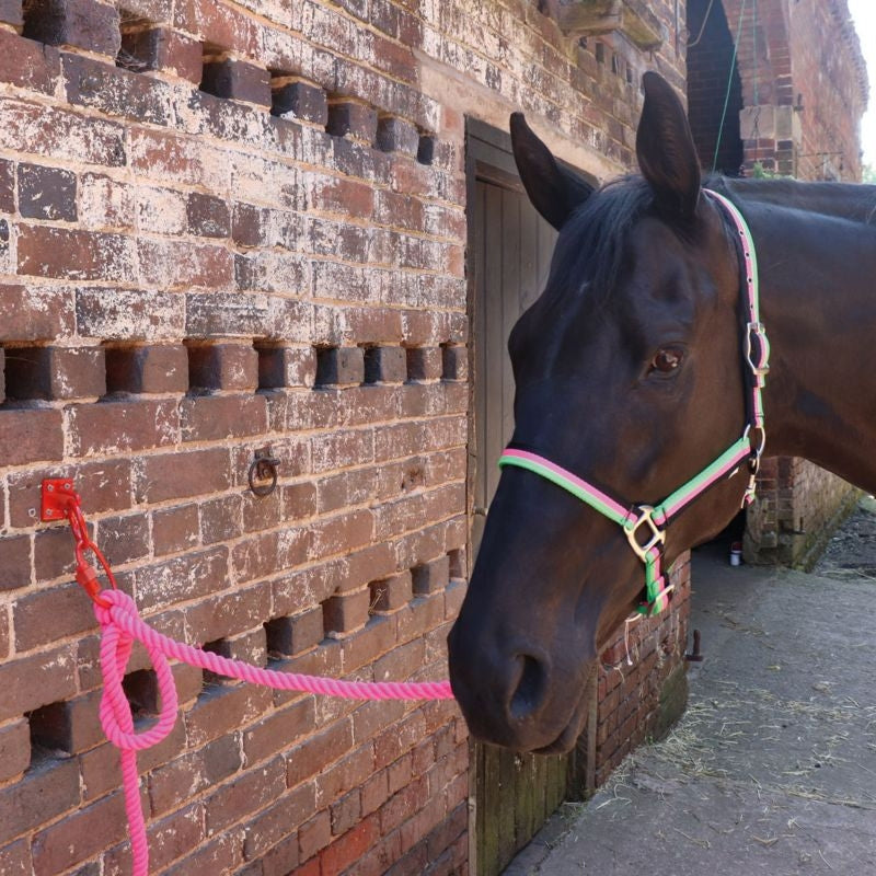 Perry Equestrian SafeTie Safety Release Tie