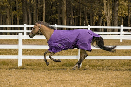 TuffRider 1200D Comfy Turnout Blanket