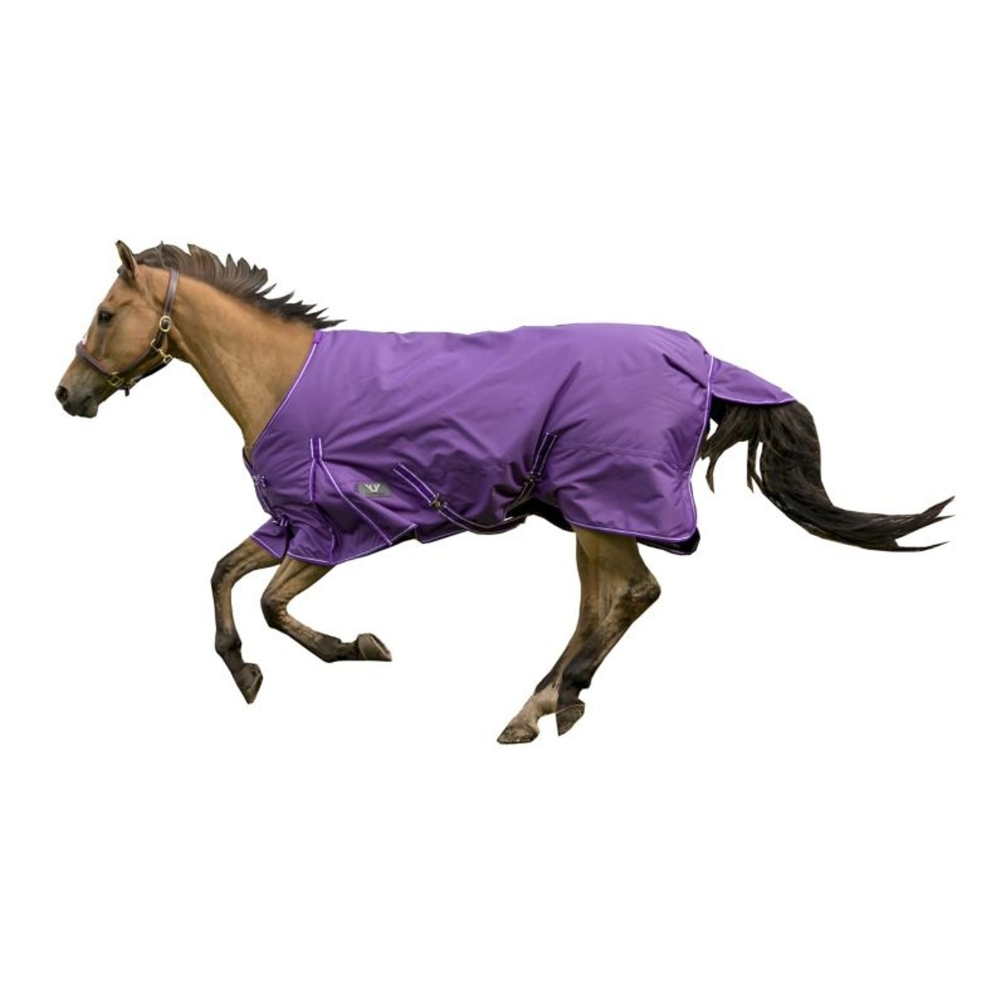 TE033072_855210_P_WO.jpg