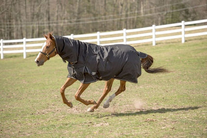 TuffRider 600D Comfy Turnout Blanket