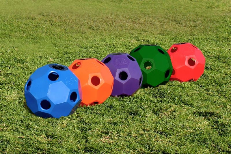 Slow Feed Hay Ball Feeder