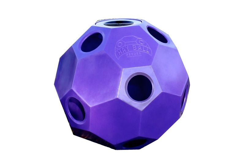 Slow Feed Hay Ball Feeder