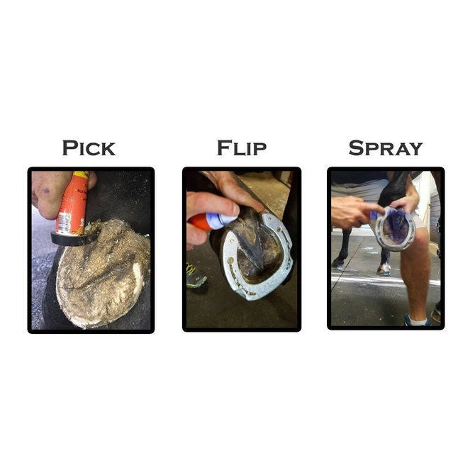 Grooms Hand Thrush Solution