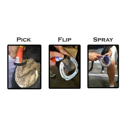 Grooms Hand Thrush Solution