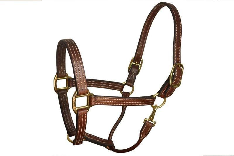 Perris Leather Havana Stable Halter