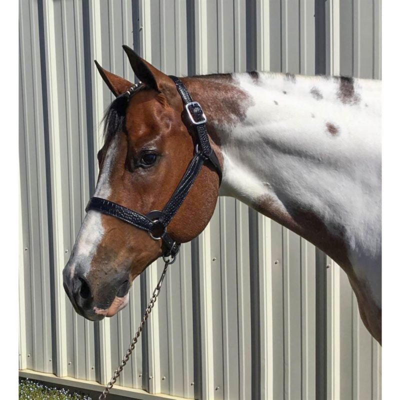 Perris Crocodile Embossed Show Halter