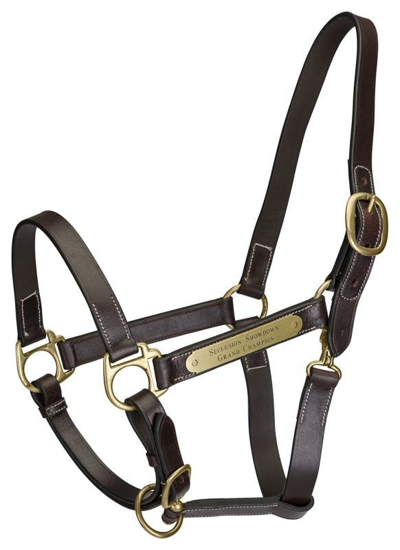Gatsby Engraved 2-Plate Leather Halter w Snap
