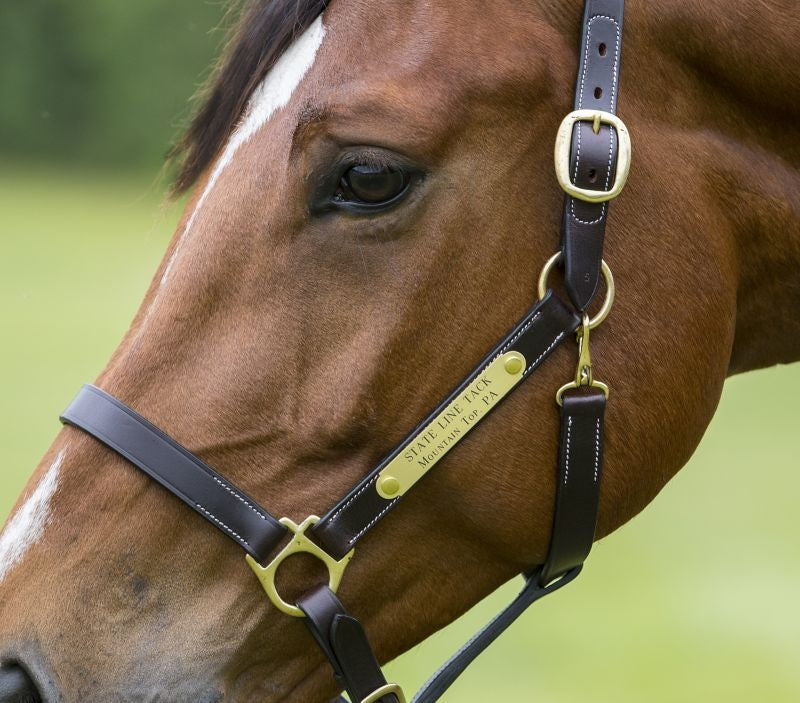 Gatsby Engraved 2-Plate Leather Halter w Snap