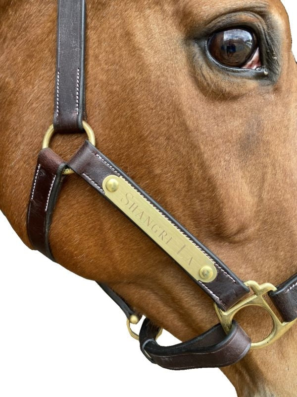 Gatsby Engraved 2-Plate Leather Halter w Snap