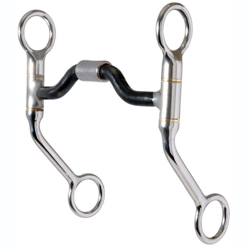 Reinsman Easy Riders Medium Port Bit