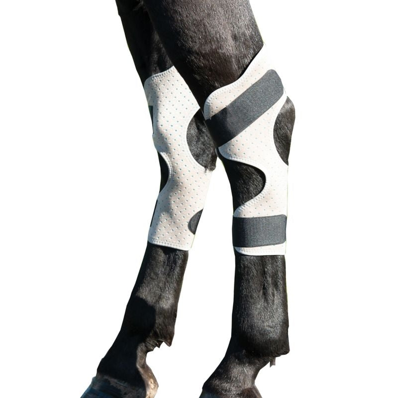 Cool Aid Equine Cooling Hock Wraps