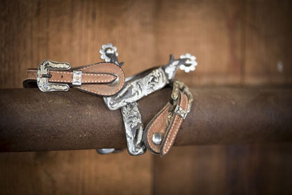 Metalab Silver Sage Mens Roper Spurs