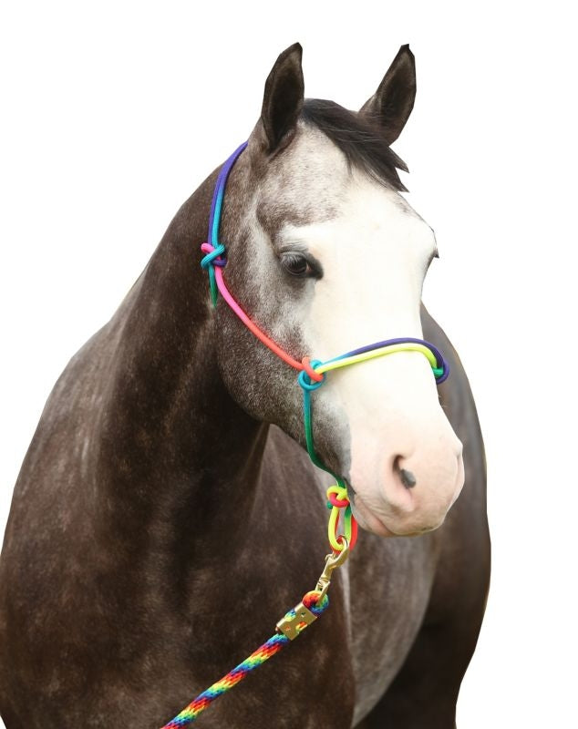Equisky Rainbow Rope Halter