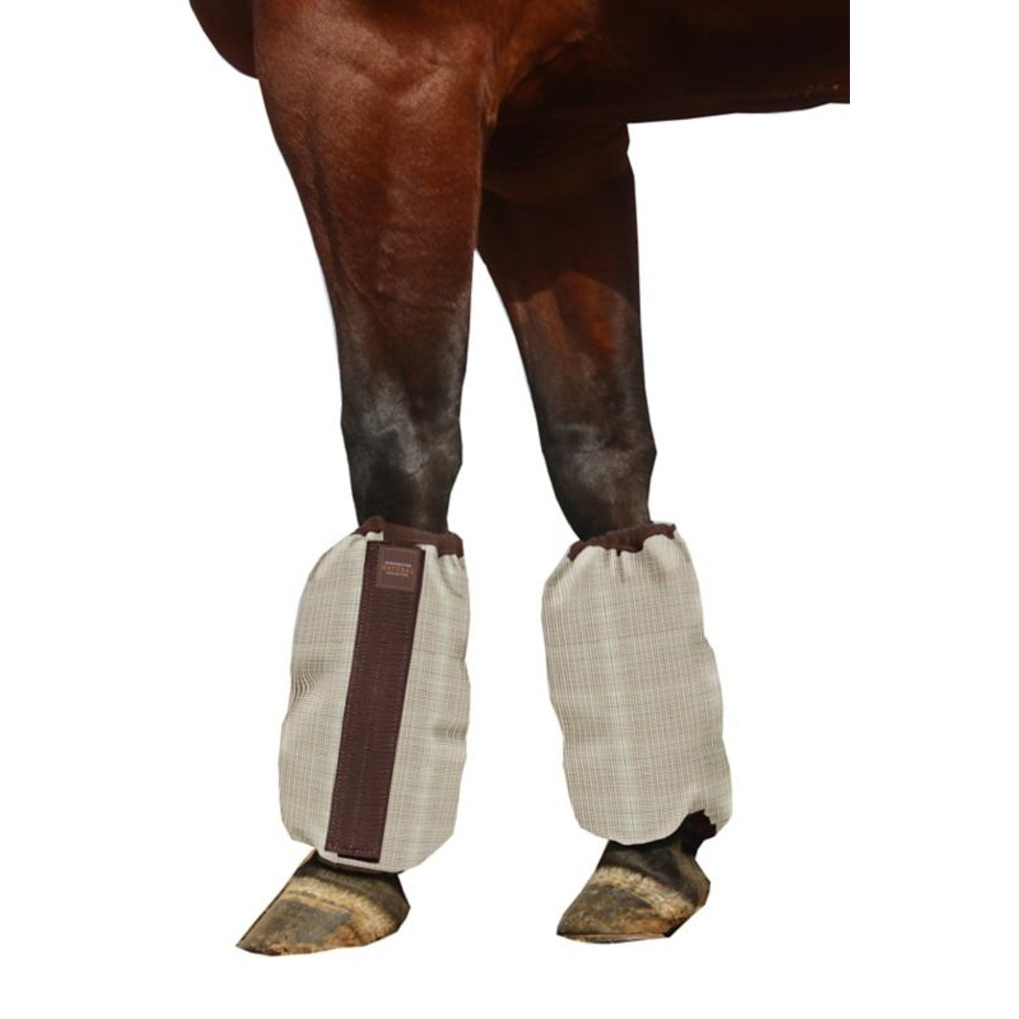 TE034153_864725_WO.jpg