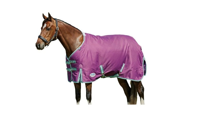 Weatherbeeta ComFiTec Premier Freedom Pony Standard Neck Medium Turnout