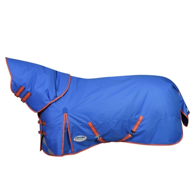 WeatherBeeta Plus Dynamic DAN Med