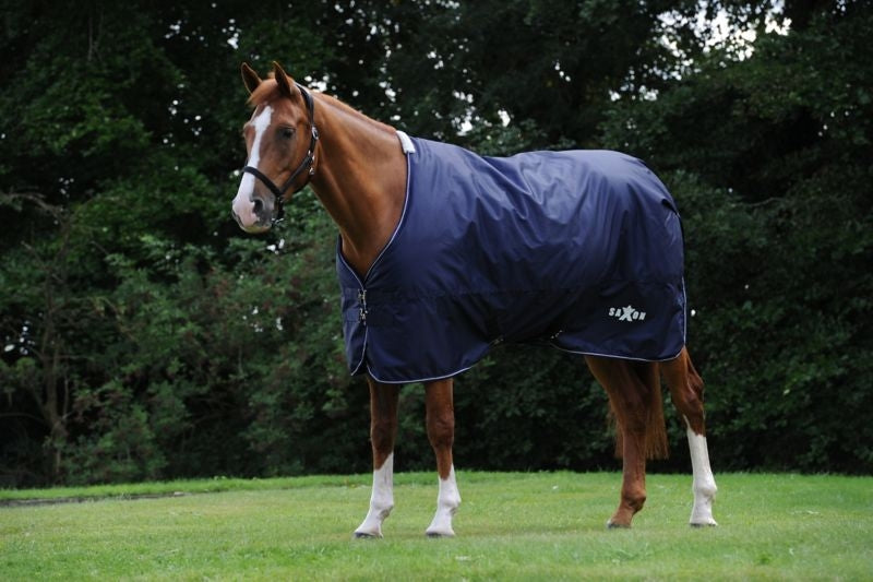 Saxon Defiant 600D Blanket Medium