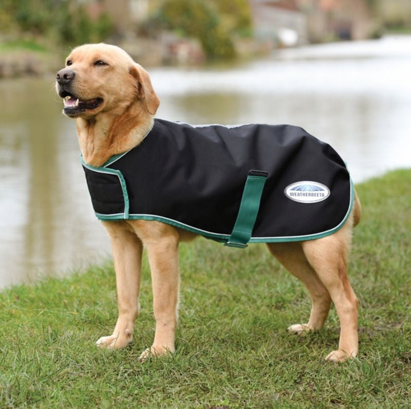 Weatherbeeta Green-Tec 900D Medium Weight Dog Coat