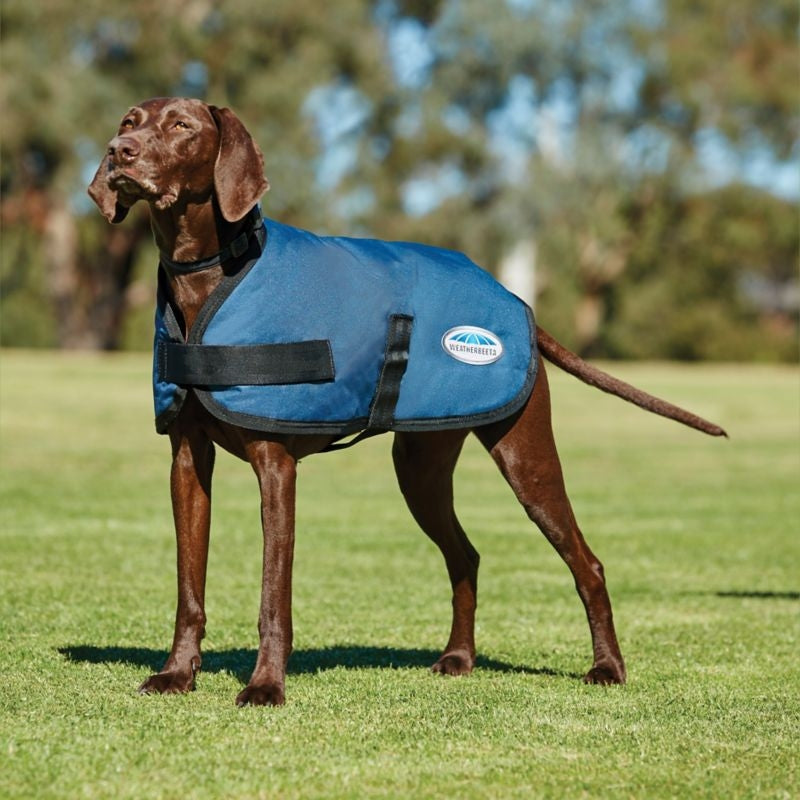 WeatherBeeta ComFiTec Classic Dog Coat