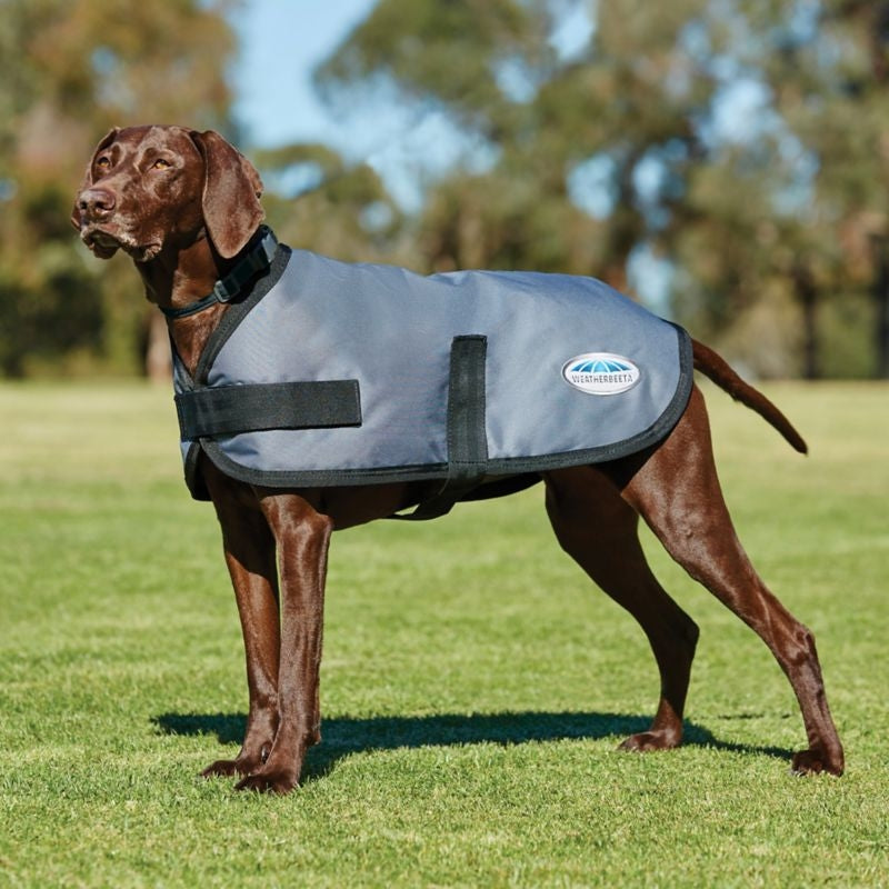WeatherBeeta ComFiTec Classic Dog Coat