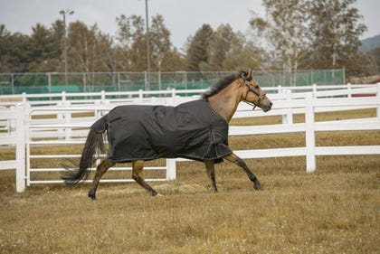 TuffRider 600D Comfy Standard Neck Sheet