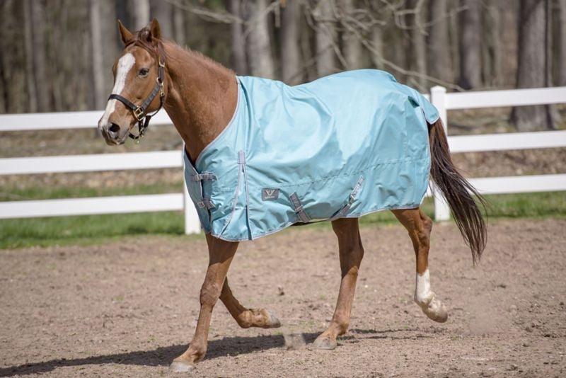 TuffRider 600D Comfy Standard Neck Sheet