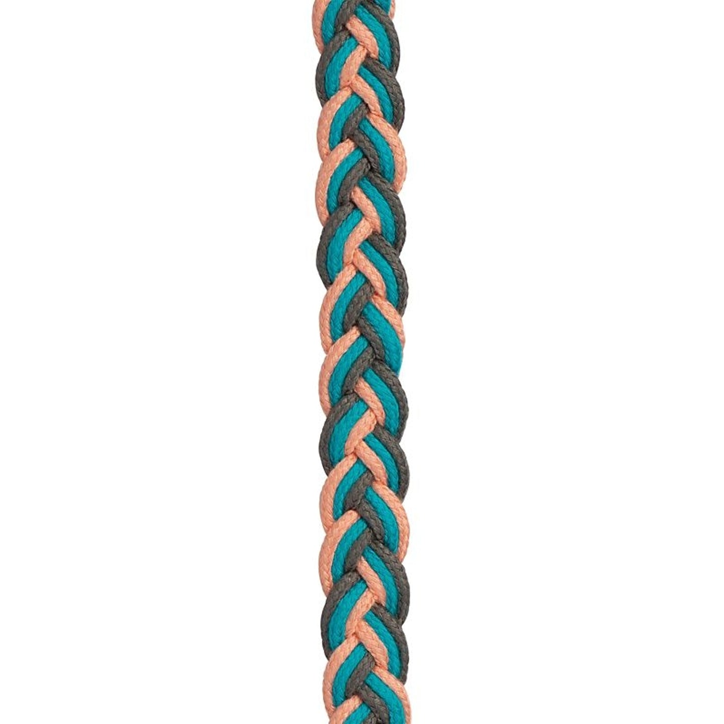 TE034690_914685_04.jpg