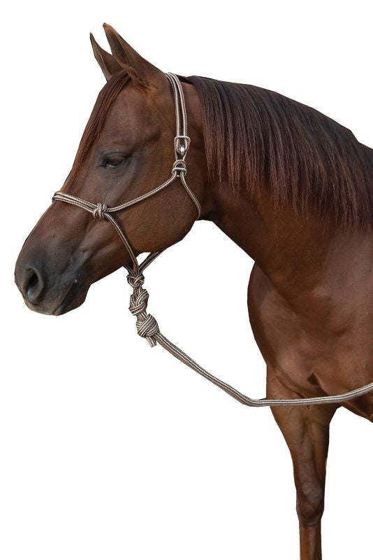 Pro Choice Easy-On Rope Halter with Lead