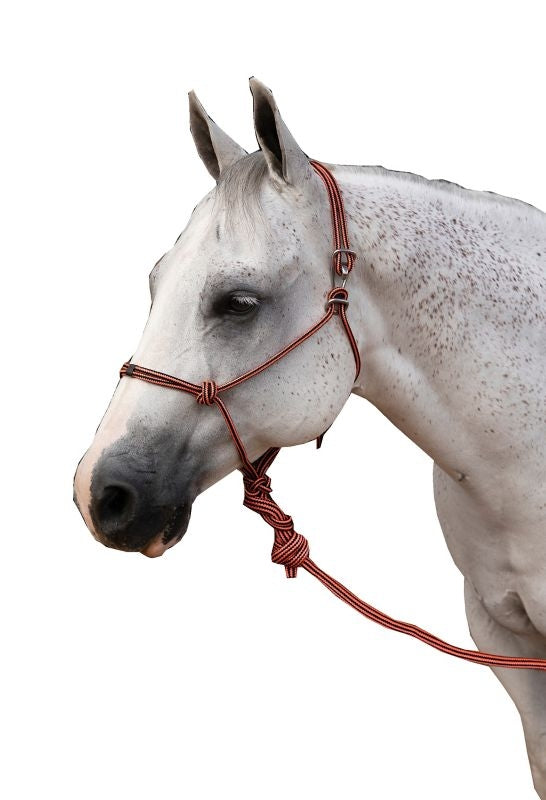 Pro Choice Easy-On Rope Halter with Lead