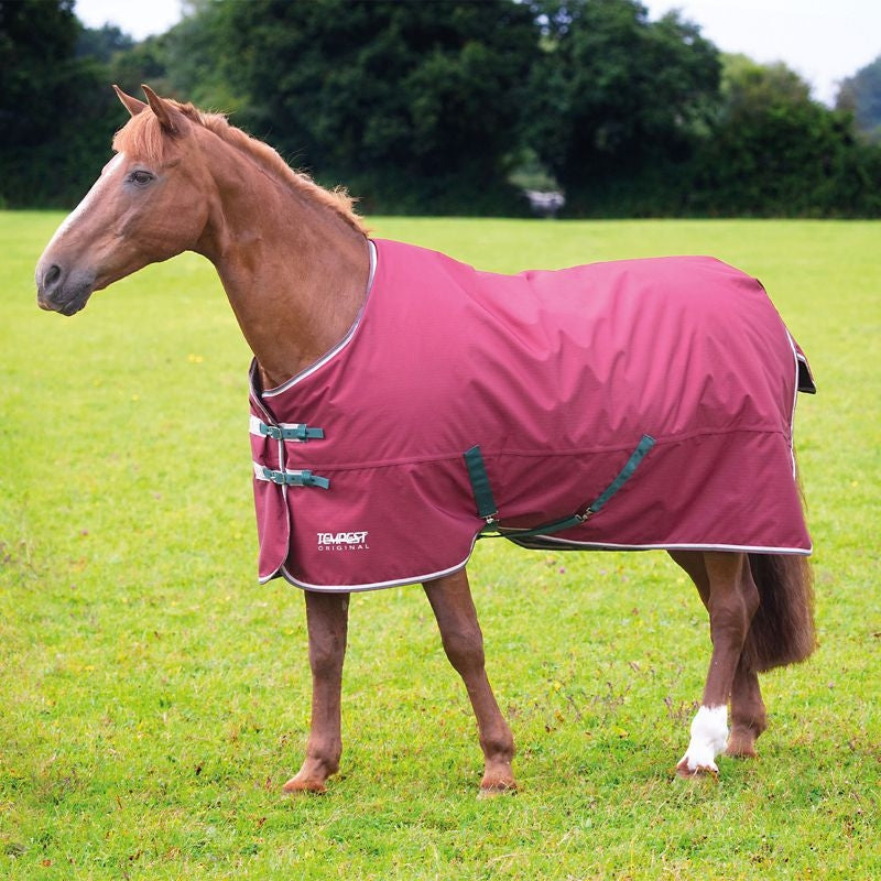 Shires Tempest Original 200g TO