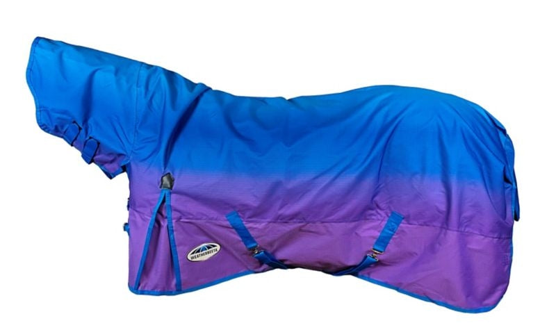 WB ComFiTec Essential Combo Neck Lite 69 Lagoon Mi
