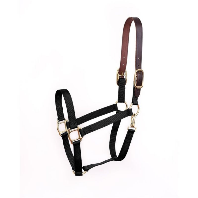 Perris Economy Safety Halter