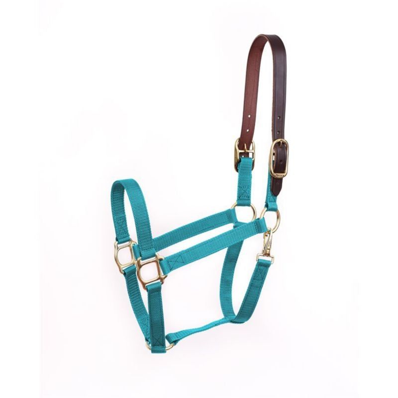 Perris Economy Safety Halter