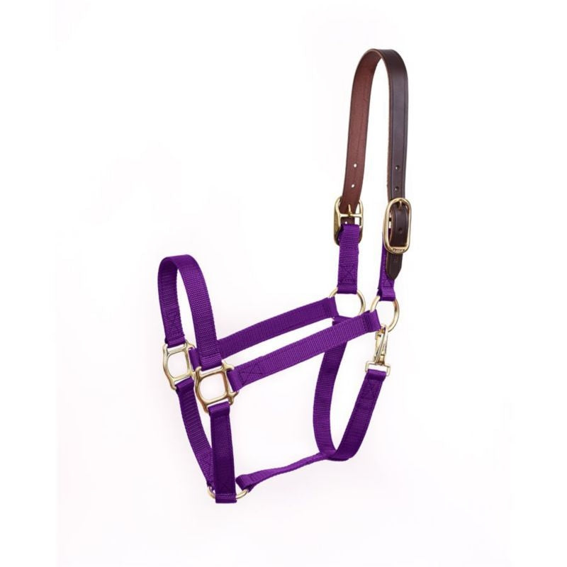 Perris Economy Safety Halter