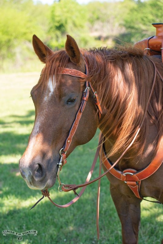 Circle Y Shaped Floral Brow Headstall