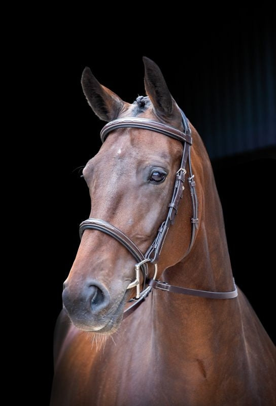 Velociti Hunter Bridle
