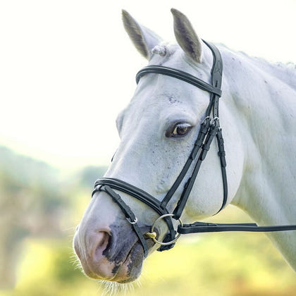 Velociti Padded Raised Flash Bridle