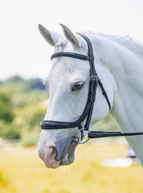 Shires Velociti Ergonomic Cavesson