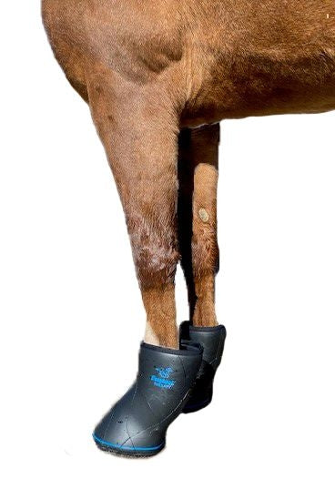 EasyCare Easyboot Remedy Soaking/Therapy Boot