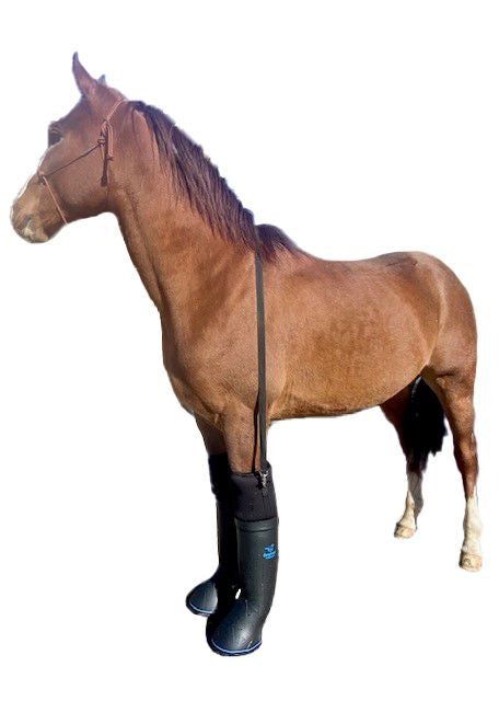 EasyCare Easyboot Ultimate Remedy Therapy Boot