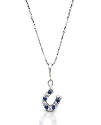 Kelly Herd Blue/Clear Dangle Horseshoe Necklace