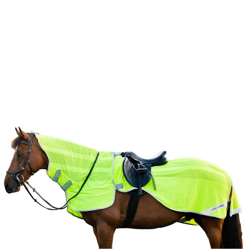 Amigo Flyrider