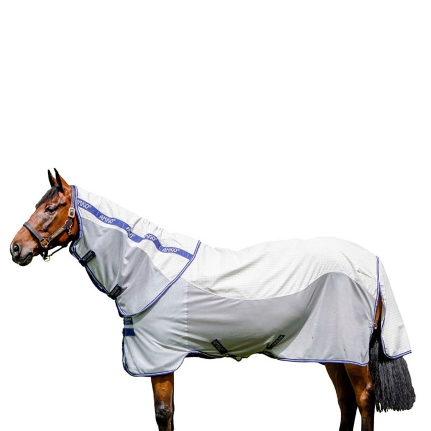 TE036036_P_WO.jpg