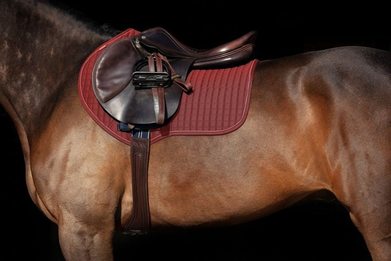 Rambo Micklem Long Comfort Girth