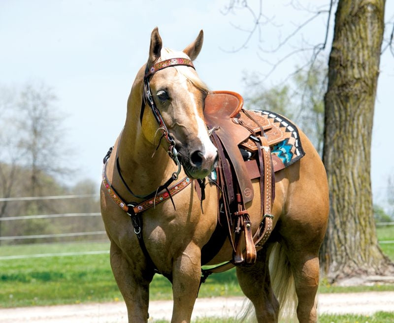 Weaver Turq Cross Floral Vine Browband Headstall