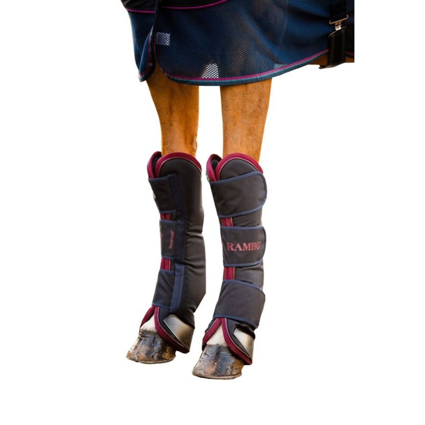 TE036237_P_WO.jpg