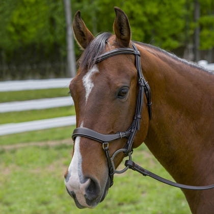 Henri de Rivel Pro Anatomical Bridle
